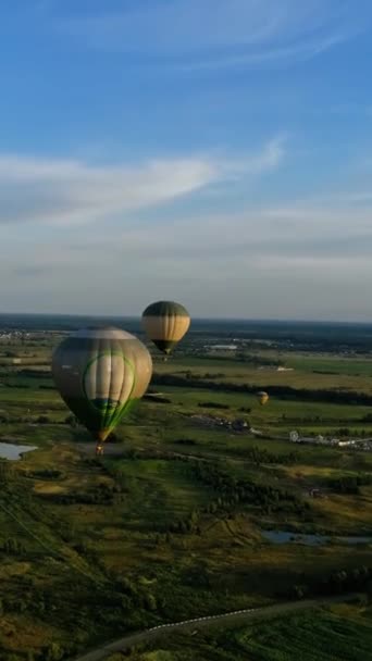 空気中の美しい航空機 グリーンフィールド上空を飛ぶいくつかのカラフルな熱気球 空にいる航空輸送 空からの眺め バーティカルビデオ — ストック動画