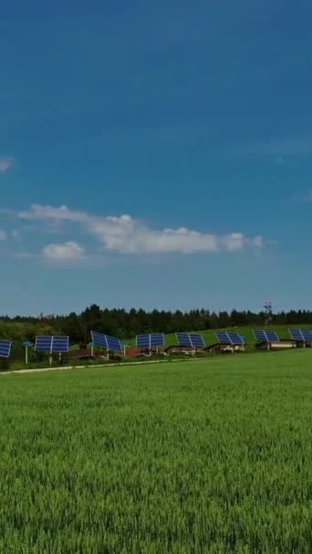 Řada Solárních Panelů Pod Modrou Oblohou Fotovoltaické Solární Články Zelené — Stock video