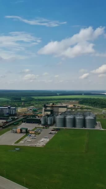 自然の中の製造工場 農業用穀物貯蔵タンク グリーンフィールドの大きな金属製のサイロエレベーター 空からの眺め バーティカルビデオ — ストック動画