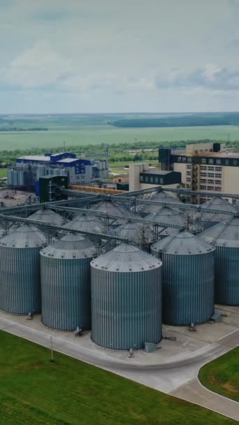 Agribusiness 谷物储存电梯 外面的钢制容器在制造上有自然背景 空中风景 垂直录像 — 图库视频影像