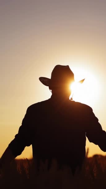 Sylwetka Mężczyzny Polu Zachodzie Słońca Widok Tyłu Rolnika Kapeluszu Spacerującego — Wideo stockowe