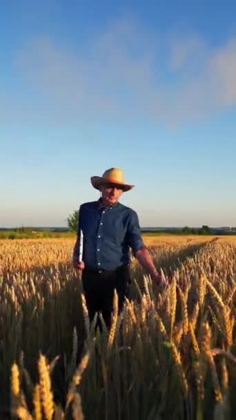 Landbouwers Landbouwgrond Oudere Man Hoed Met Een Map Lopen Het — Stockvideo