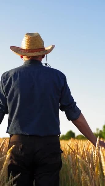 Achteraanzicht Van Een Boer Agronomist Wandelen Landbouw Kijken Naar Het — Stockvideo