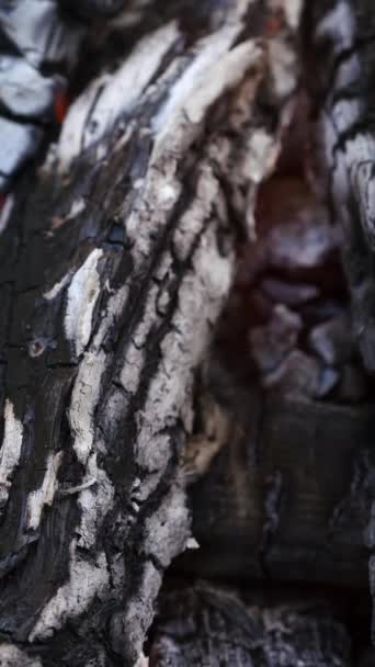 Schwelende Asche Lagerfeuer Holzglut Lodert Flammen Auf Schwelendes Und Brennendes — Stockvideo