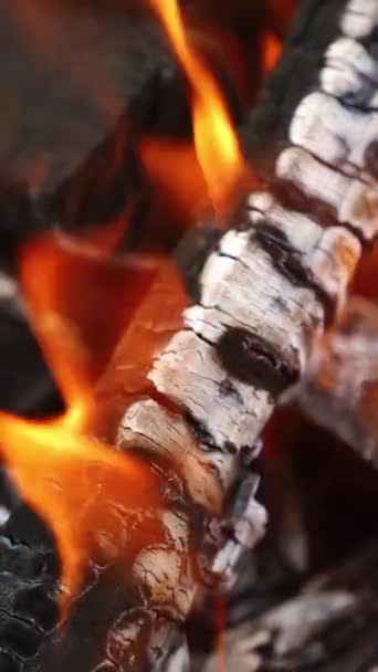 Verbrannte Baumstämme Flammen Brennendes Holz Als Abstrakter Hintergrund Heiße Glut — Stockvideo