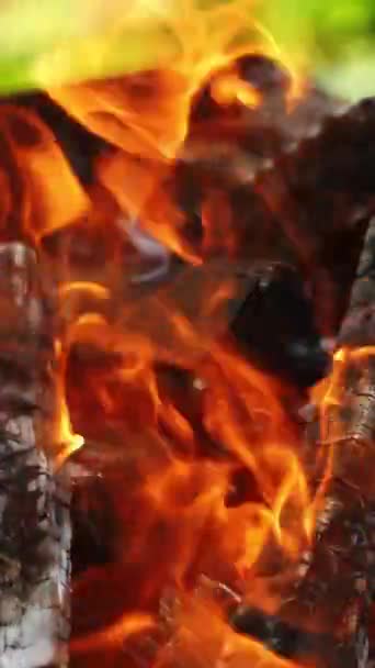 熱い炭火が燃えている 木材のスモールダン化と炎のログ 屋外のバーベキューに燃えている木製のログ バーティカルビデオ — ストック動画