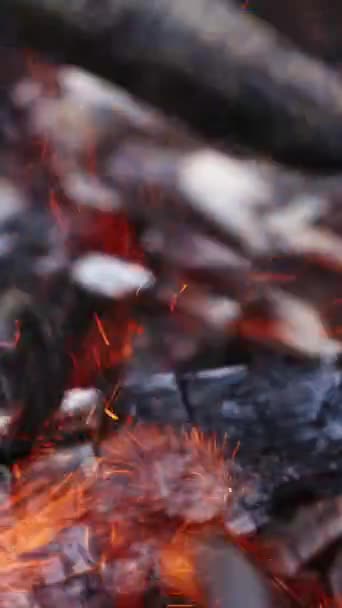 火災で汚れたログ 炎の詳細なスパークル 火の炎の舌 明るい輝きのあるオレンジの火 明るい炎の中の木 クローズアップ バーティカルビデオ — ストック動画