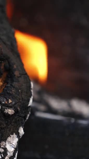 Schwelender Baumstamm Schwarzer Und Weißer Holzscheit Flammen Verbrennung Von Feuer — Stockvideo
