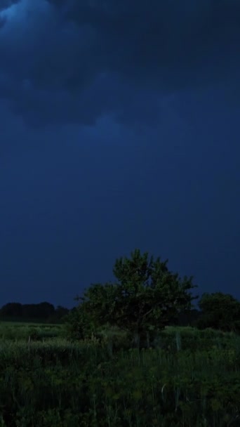 Fulmine Luminoso Sul Cielo Serale Ambiente Naturale Alle Intemperie Fulmine — Video Stock