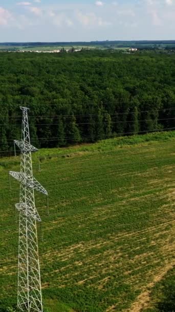 Linhas Transmissão Perto Floresta Verde Linha Elétrica Alta Tensão Campo — Vídeo de Stock