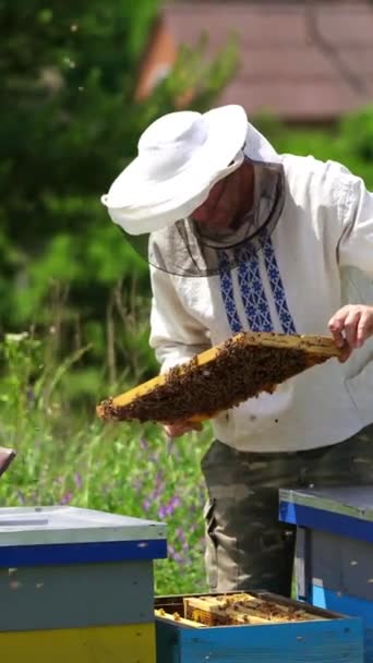 ミツバチの世話をしています 田舎のハイブからハチとフレームを取る養蜂家 養蜂場でハチが飛んでいる バーティカルビデオ — ストック動画