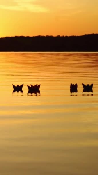 夕阳西下 水面上的倒影和许多纸船在河里漂流 奥里加米号在夜晚的水面上航行 — 图库视频影像