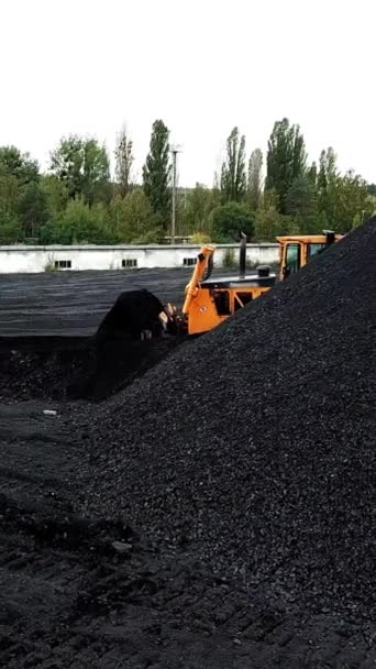 オープンピットでの石炭採掘 化石燃料産業について 環境問題 空からの眺め バーティカルビデオ — ストック動画