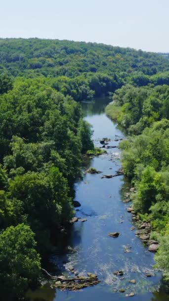 Forêt Verte Petite Rivière Capturée Haut Avec Drone Vidéo Vue — Video
