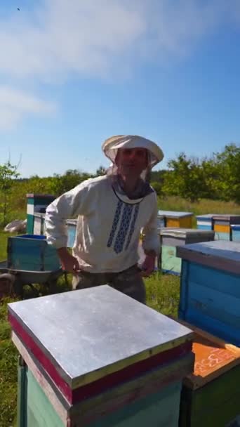 晴れた日における養蜂プロセス 安全帽子の養蜂家は 青空の下の養蜂場で働いています 緑の自然の中にある木製のハーブの近くのアーティスト バーティカルビデオ — ストック動画