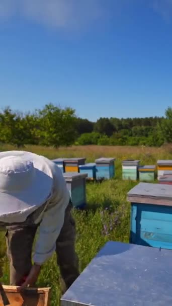 養蜂家はハチとハチの細胞を手に持っています 馬鹿げてる アピアリー 晴れた日のアペルニストのビデオ バーティカルビデオ — ストック動画