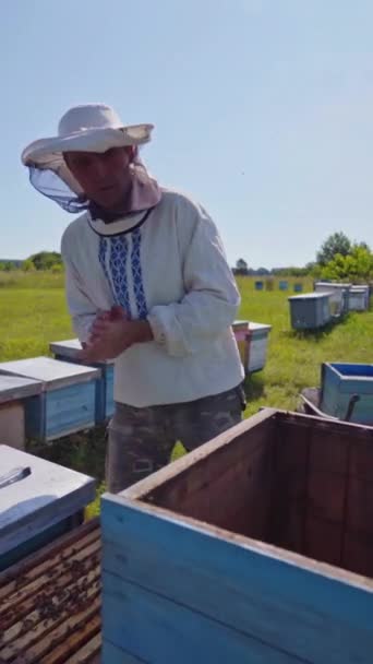 蜂房附近的养蜂人 头戴防护帽的雄性养蜂人在绿色的大自然中与木制盒子一起工作 垂直录像 — 图库视频影像