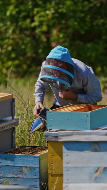 养蜂人在养蜂场在夏天 专业的养蜂人从蜂窝中取出满满一帧蜜蜂 以大自然为背景的木质蜂房 垂直录像 — 图库视频影像