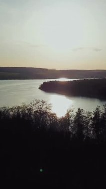 Güneşin doğuşunda her iki kıyıda da ormanı olan harika bir nehir manzarası. Hava manzarası. Dikey video