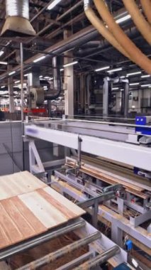 Hızlı otomatikman, hayatlarının devamı için tahtadan bir yüzey oluşturur. Ahşap fabrikası. Yakın plan. Dikey video