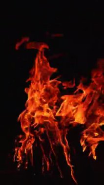 Şenlik ateşinde odun pirzolası yanıyor. Siyah arka plandaki kamp ateşinin yakın görüntüsü. Dikey video