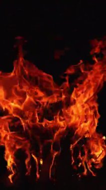 Büyük şenlik ateşinde bir odun yığını yanıyor. Geceleri yanan kamp ateşinin güzel manzarası. Dikey video