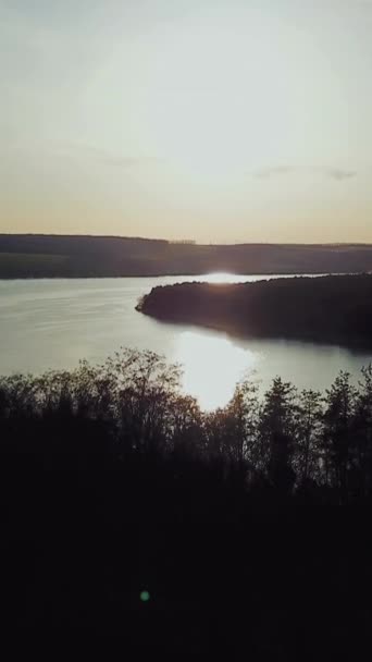 日出时分 两岸都是森林的河流美景 空中风景 垂直录像 — 图库视频影像