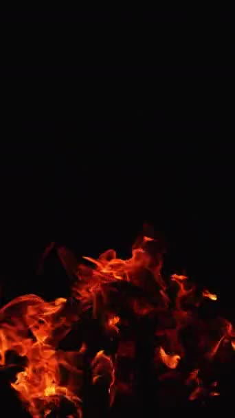 Llama Hoguera Extiende Inclinándose Hacia Derecha Una Pila Leña Ardiendo — Vídeo de stock