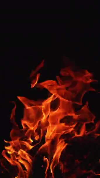 Красное Пламя Костра Танцует Темноте Крупный План Костра Горящего Ночью — стоковое видео