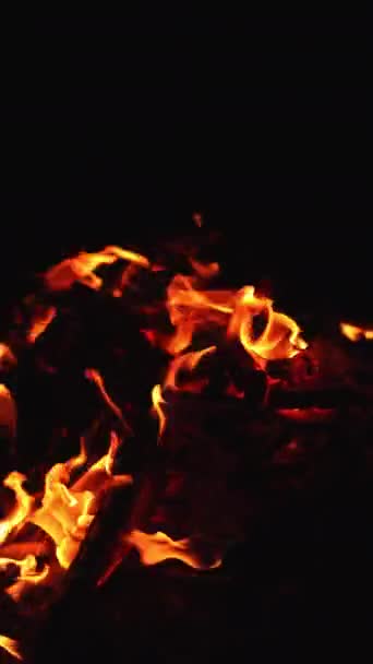 黒い背景に孤立したキャンプファイヤー 夜に火が燃えている様子 バーティカルビデオ — ストック動画