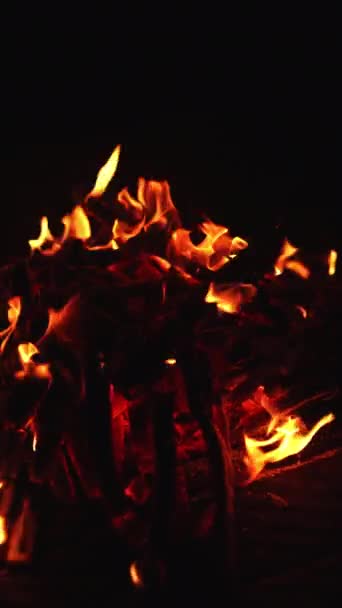 Api Jeruk Panas Dari Api Unggun Besar Naik Udara Pemandangan — Stok Video