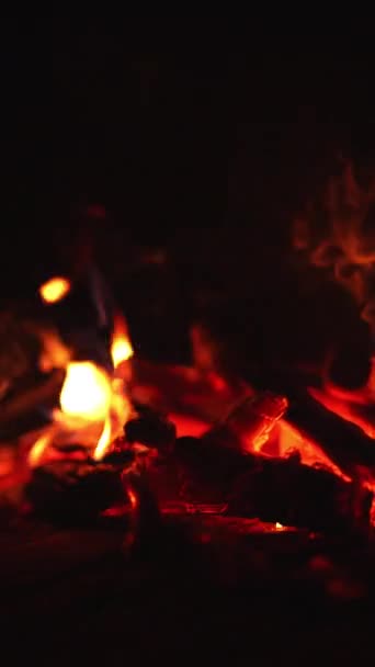 Kleinen Lagerfeuer Brennen Holzscheite Nahaufnahme Eines Lagerfeuers Der Dunklen Nacht — Stockvideo