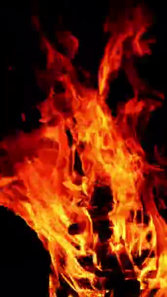 Vuurvlammen Die Duisternis Likken Heet Gevaarlijk Kampvuur Brandt Nachts Geïsoleerd — Stockvideo