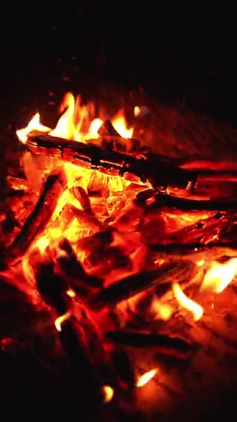 Niektóre Drewniane Patyki Płoną Ognisku Nocy Czerwone Gorące Płomienie Wznoszące — Wideo stockowe