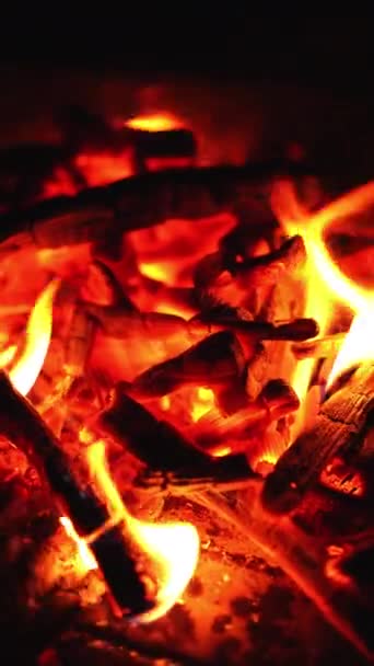 Drewniane Patyki Płonące Ognisku Przyjemny Relaksujący Widok Ogień Nocy Zamknij — Wideo stockowe