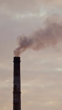 Gece gökyüzüne karşı dumanlı endüstriyel borular. Endüstriyel bacadan yayılan zararlı emisyonlar. Hava kirliliği. Dikey video