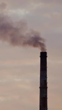 Kalın dumanlı büyük borular. Kirli fabrika bacası havaya büyük dumanlar üflüyor. Kimya endüstrisi tarafından çevresel zehirlenme. Dikey video