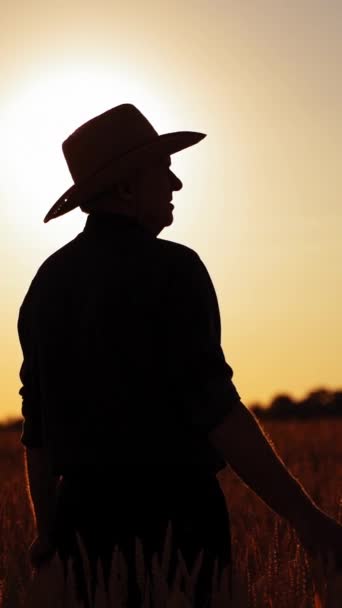 Farmer Zachodzie Słońca Sylwetka Człowieka Kapeluszu Polu Pszenicy Przeciwko Zachodzącemu — Wideo stockowe