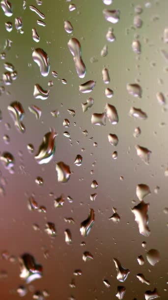 Tropfen Auf Glas Regen Auf Glasfenster Von Drinnen Regen Auf — Stockvideo