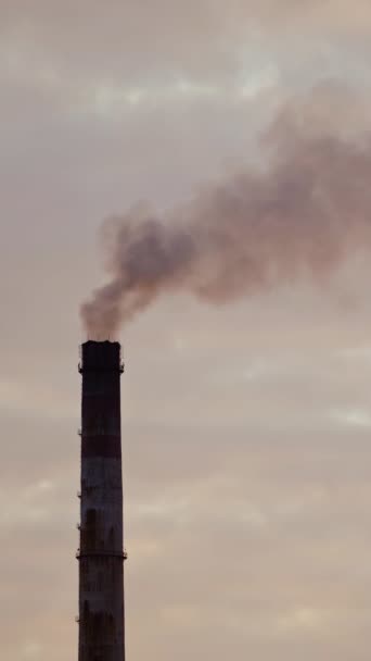 Industrirör Med Rök Mot Natthimlen Skadliga Utsläpp Från Industriell Skorsten — Stockvideo
