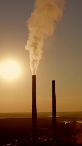 日落时的化学品生产 空气中弥漫着有害的烟雾 浓重的白色蒸气从工业管道中排出 晚上在大自然中一个工厂的轮廓 垂直录像 — 图库视频影像