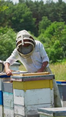 Koruyucu şapkalı adam kovandaki çerçeveyi çıplak elle çıkarıyor. Kovanların etrafında bir sürü arı uçuşuyor. Arı yetiştiricisi kovanlardaki bal çerçevelerini yeniden düzenliyor. Dikey video
