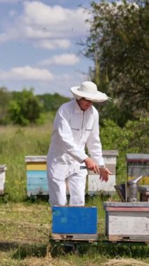 Resimli manzarada kırsal arı çiftliği. Arı yetiştiricisi gelip kontrol etmek için arı kovanına diz çöker. Dikey video