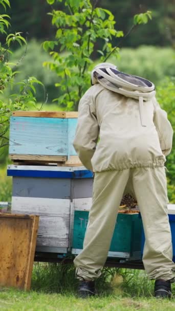 Bijenhouder Inspecteert Toestand Van Bijen Honing Honingkam Boer Draagt Speciale — Stockvideo