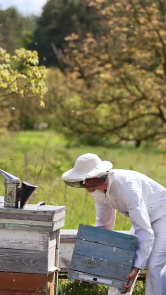 Replacing Heavy Wooden Beehive Rural Apiary Beekeeper White Clothes Taking — Stock Video