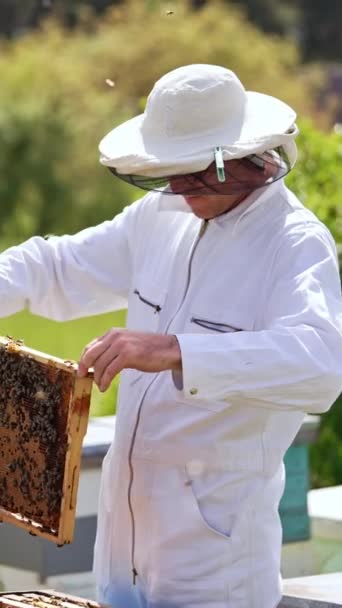 成年养蜂人在他的养蜂场查看他的框架 男人穿着白色的衣服 帽子看着被蜜蜂覆盖的框架 阳光灿烂的背景 垂直录像 — 图库视频影像