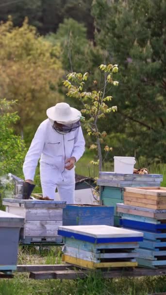 Peternak Lebah Jantan Mengenakan Topi Pelindung Kepalanya Industrious Apiculturist Memeriksa — Stok Video
