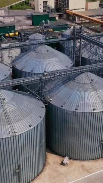 农作物的粮仓 外面是现代农业综合企业的银罐 空中圆圈在井井有条的工厂区上空移动 垂直录像 — 图库视频影像