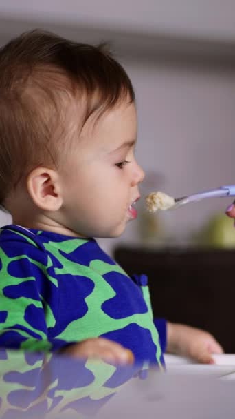 Little Cute Caucasian Boy Given Dairy Spoon Baby Eating Food — Stock Video
