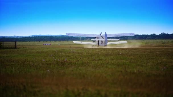 Çimenli Zeminin Yanından Geçen Küçük Beyaz Bir Uçak Arkasında Toz — Stok video